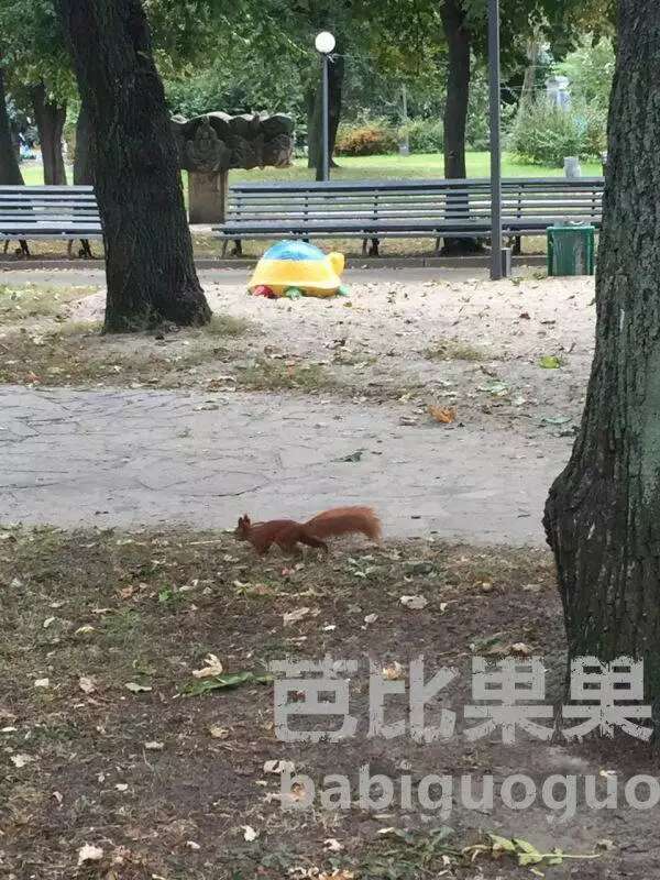 乌克兰试管婴儿
