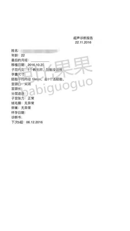 乌克兰好孕报告